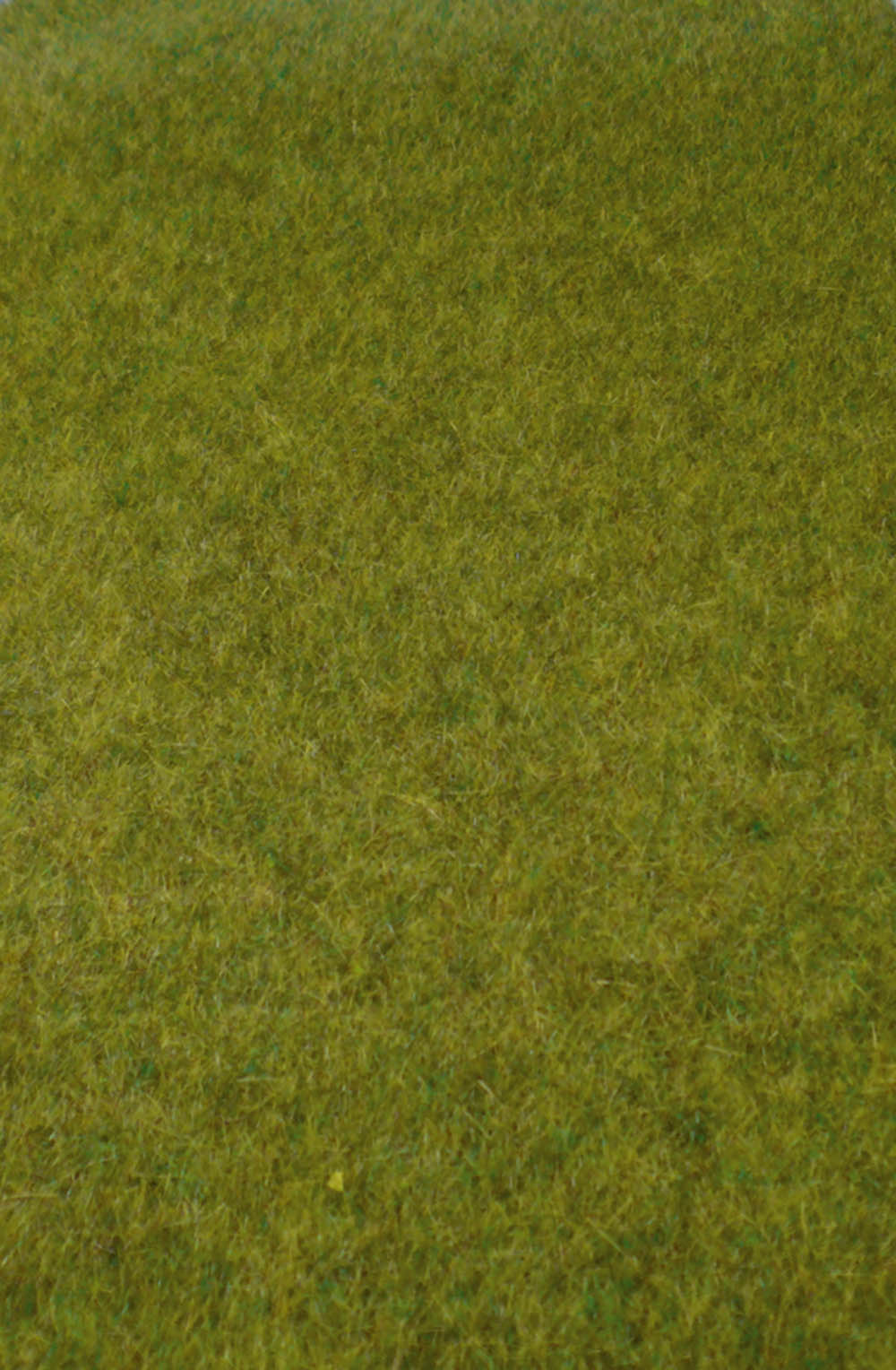 Heki 1861  kreativ Wildgras Waldboden, 45x17 cm     15,2
