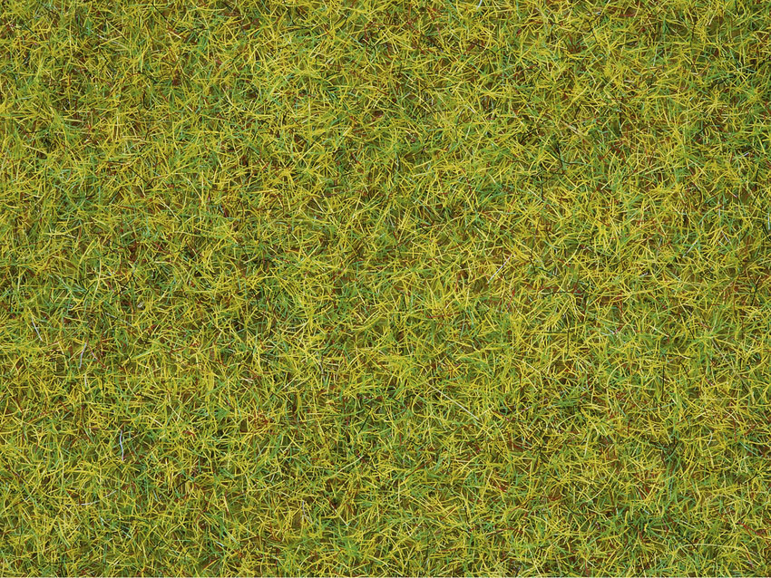 NOCH 50190   Streugras “Sommerwiese” 2,5 mm, 100 g  11,99