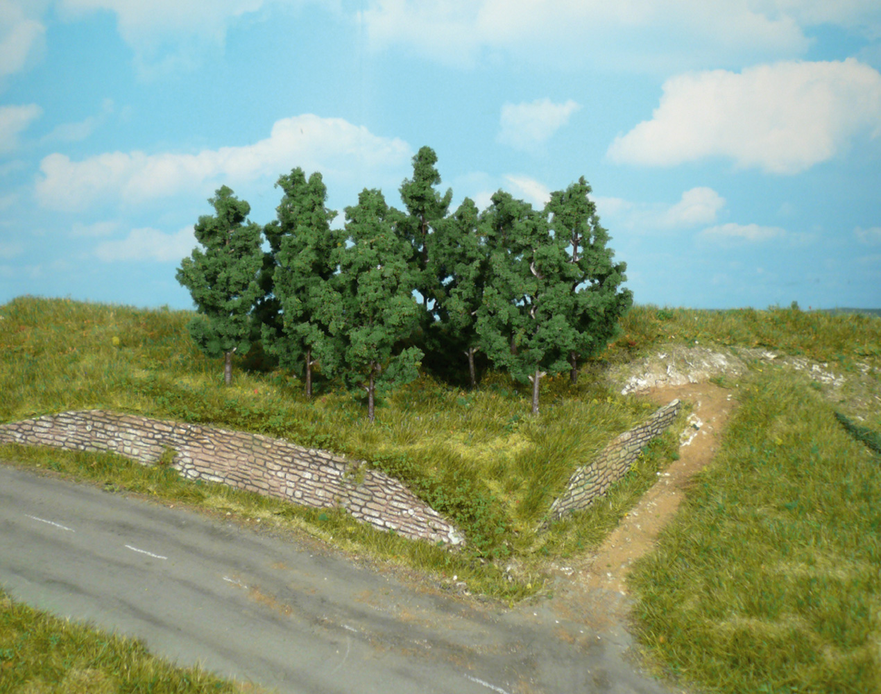 Heki 1220  10 Schwarzpappeln 9 cm                   17,9