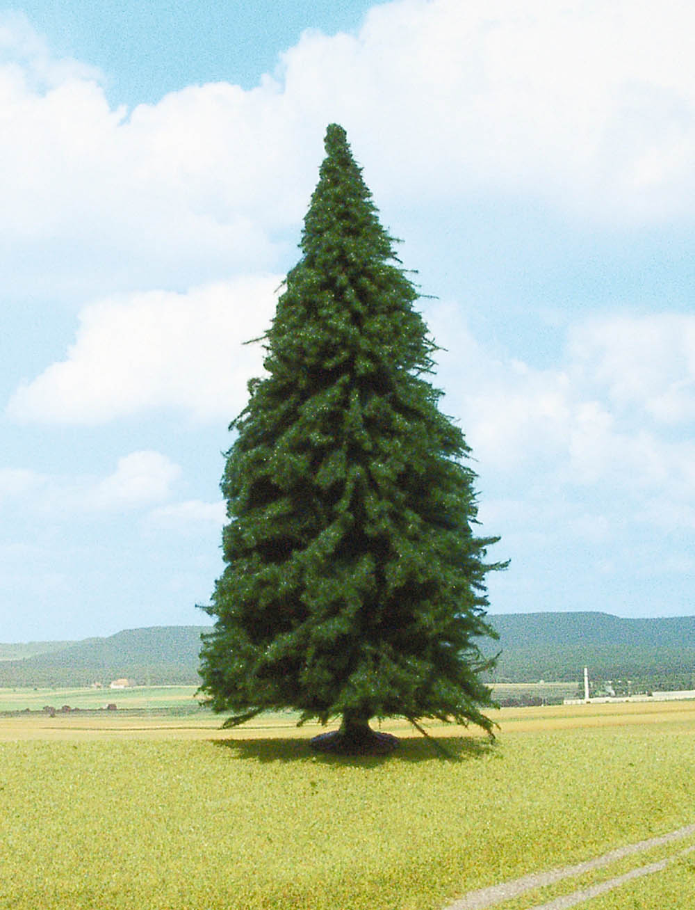 Heki 2343  LGB 1 Tanne 35 cm                        30,6