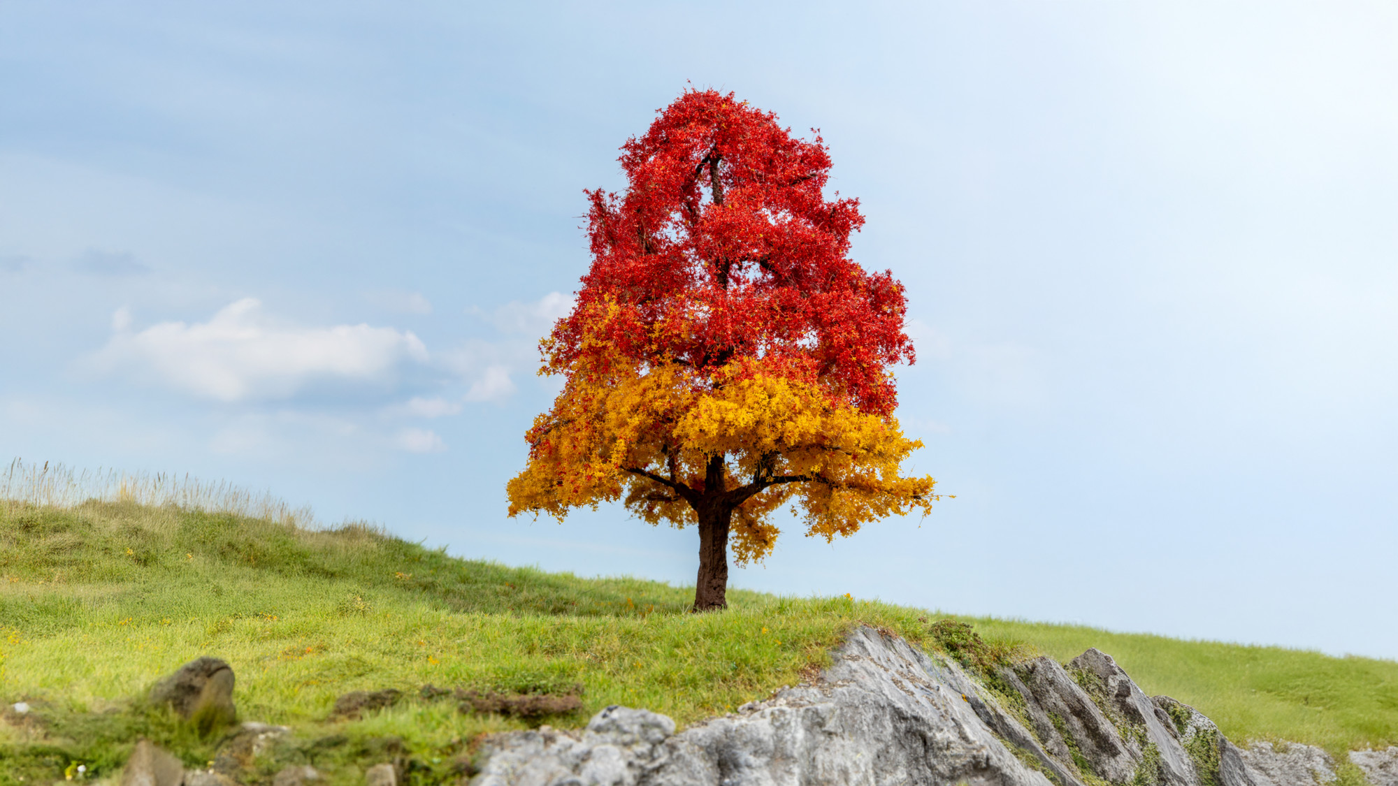 NOCH 20114  Eiche, herbstlich 20 cm                 28,99