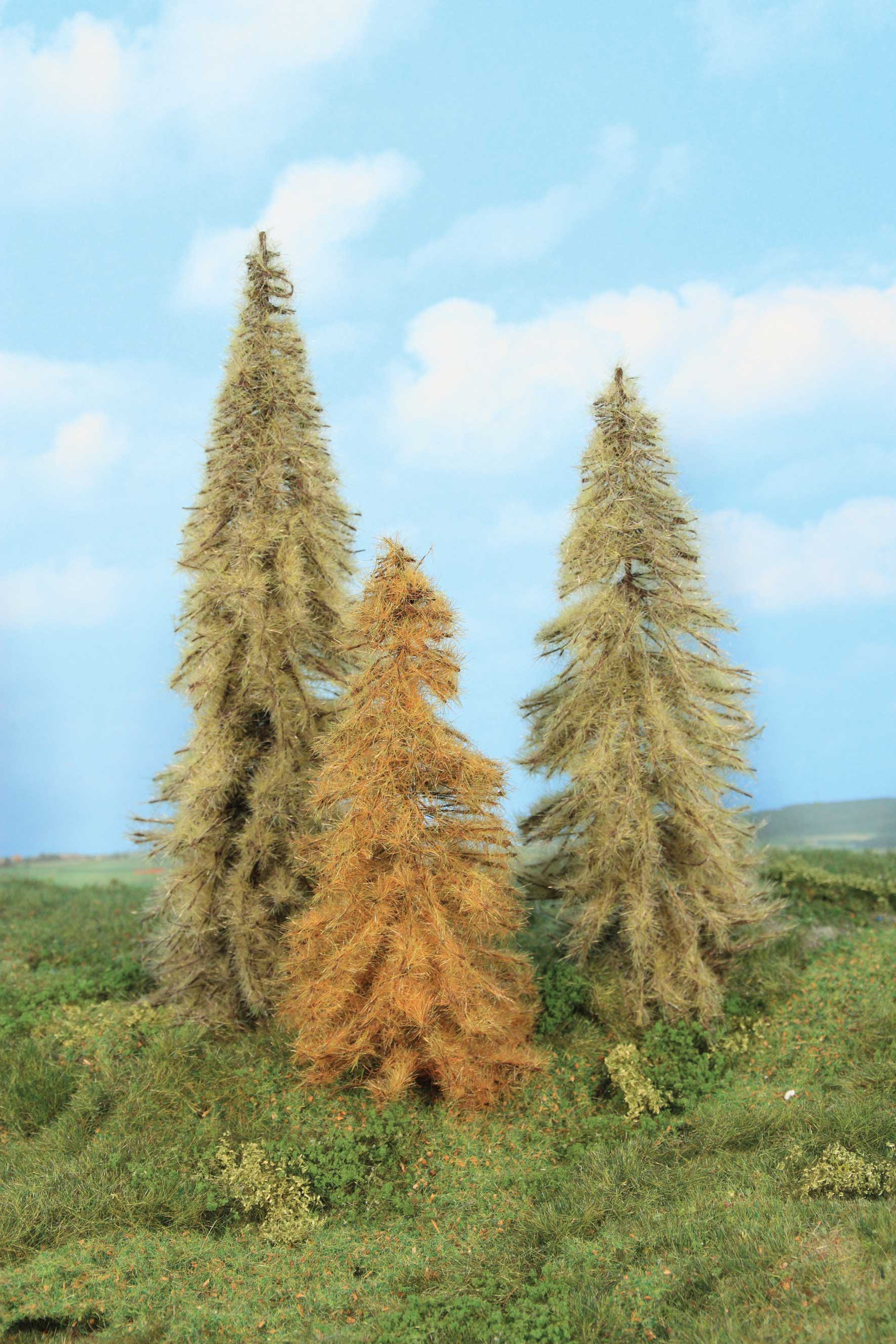 Heki 2177  3 Lärchen herbstlich 18-22 cm            28,4
