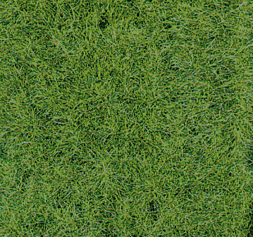 Heki 1871  Wildgrasmatte Waldboden, 40x24 cm, 2 Stüc16
