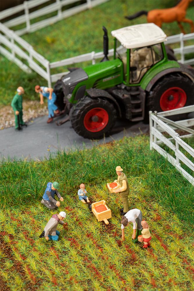 Faller 151659 Spur H0 Auf dem Erdbeerf         [UVP 15,99  ]