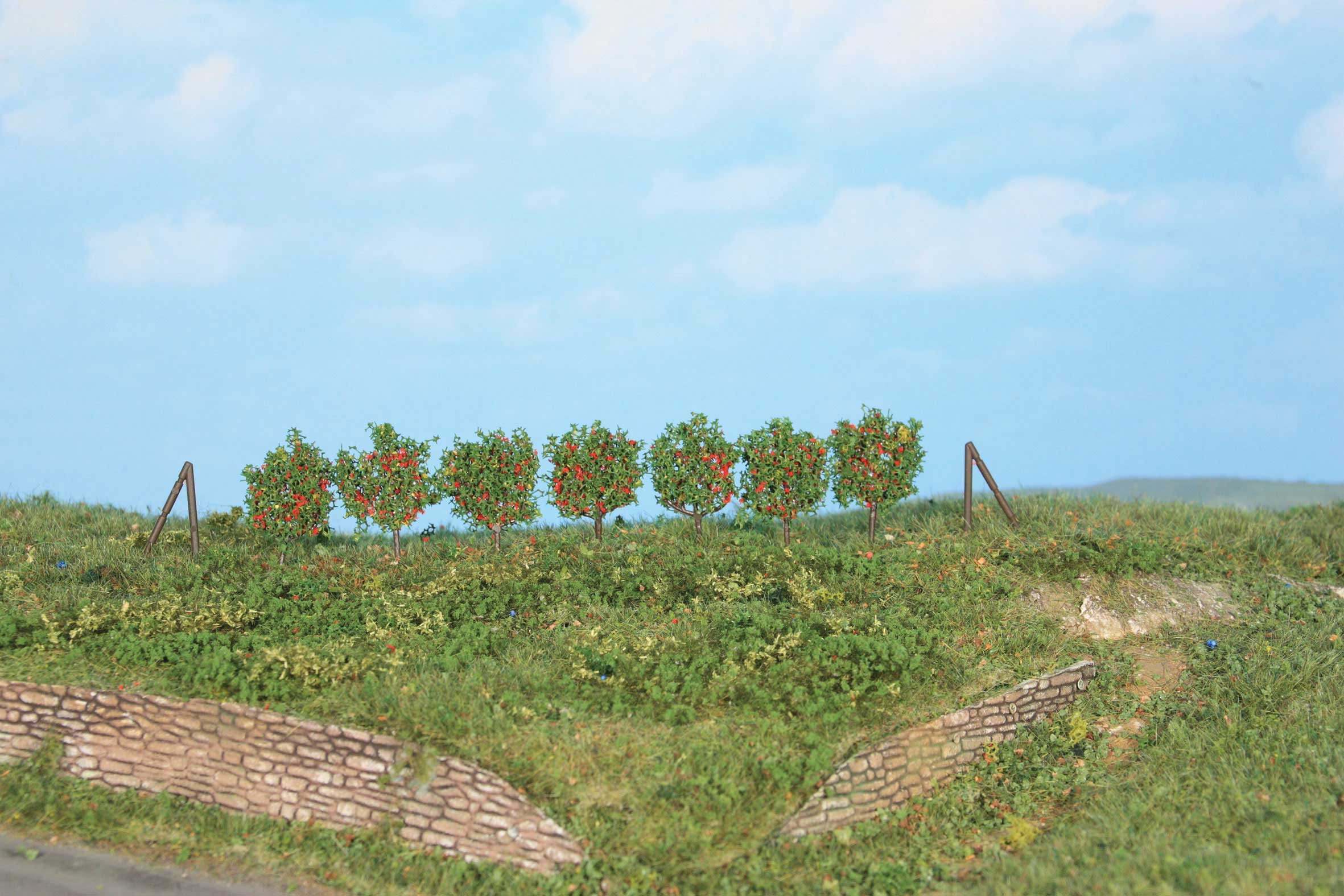 Heki 19135  Spalierobst, 36 Stück ca. 2,5 cm incl.Sp20,2