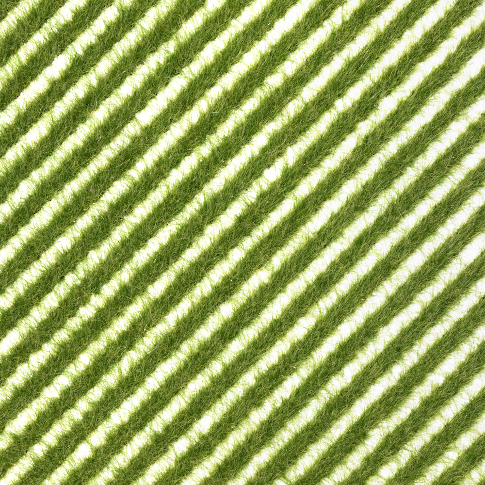 Grasstreifen Frühling