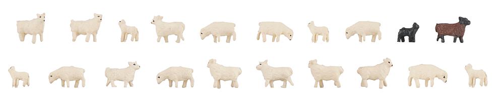Faller 155907 Spur N 20 Hausschafe          22,99