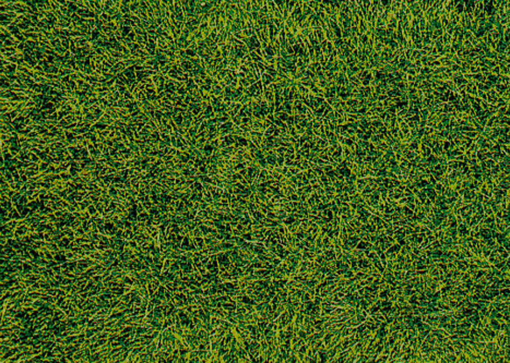 Heki 1573  HEKI decovlies Wildgras, Moorboden 28x14 12,6