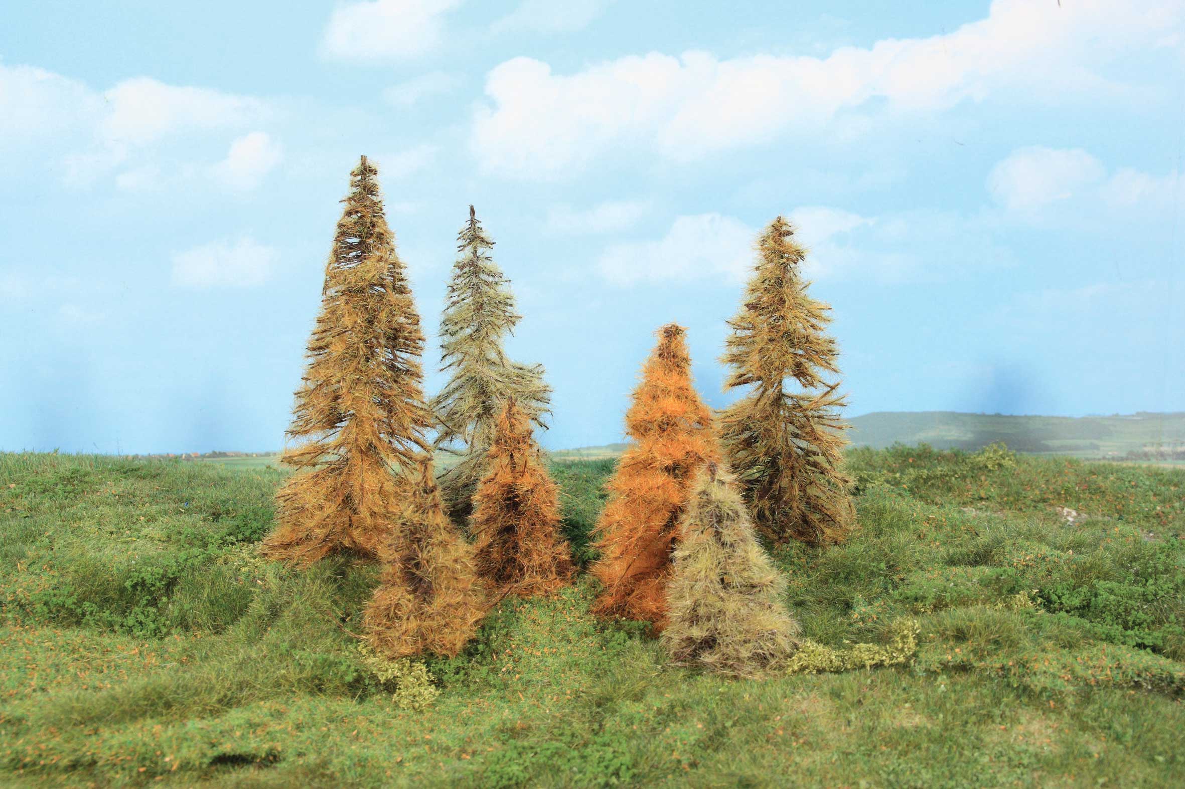 Heki 2178  7 Lärchen herbstlich 7-11 cm             28,4