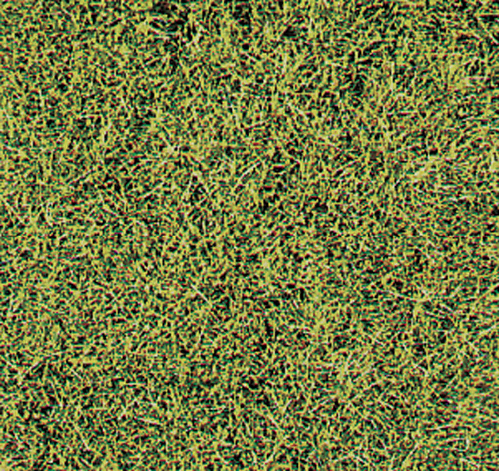 Heki 1574  HEKI decovlies Wildgras, Savanne 28x14 cm12,6