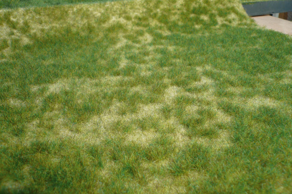 Heki 1842  realistic Wildgras Sommergras, 45x17 cm  15,2