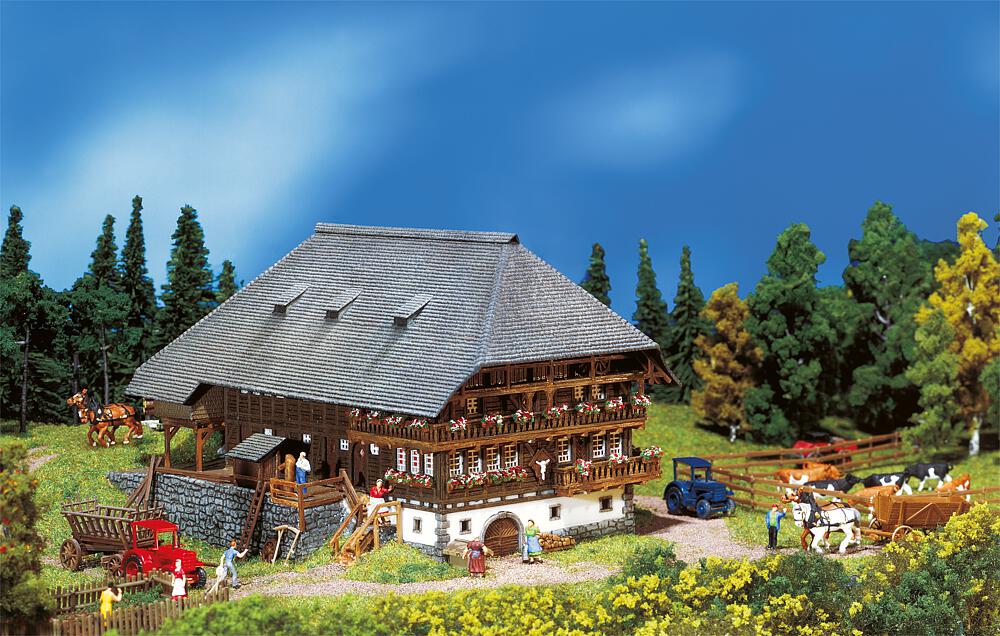 Faller 232258 Spur N Schwarzwaldhof          85,99