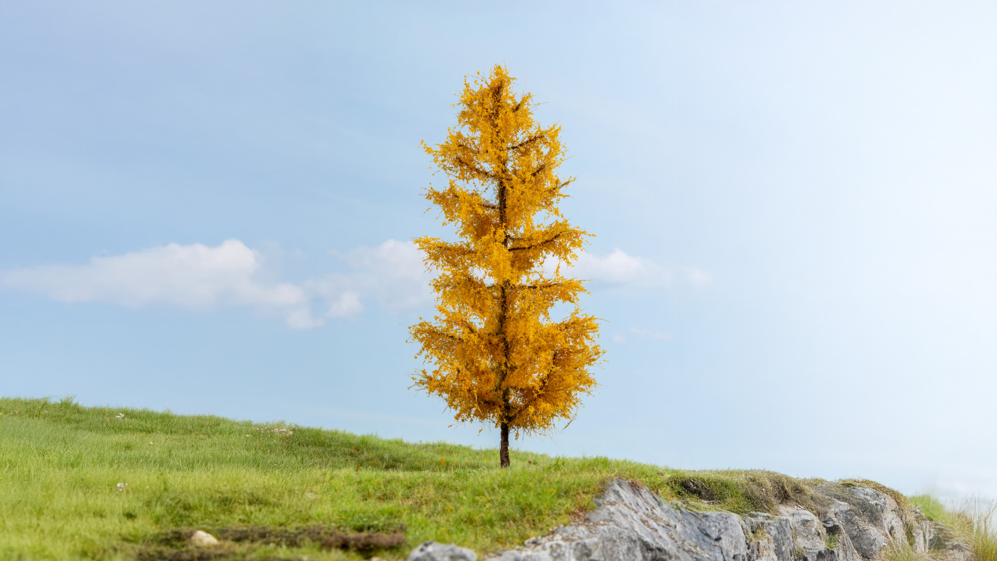 NOCH 20167  Lärche, herbstlich 17 cm                16,99