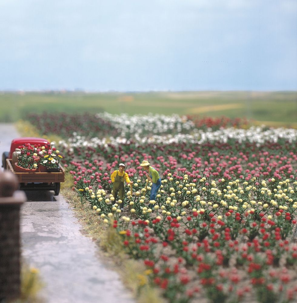 H0     120 Rosen H0                                   09.99]