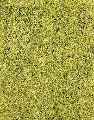 Heki 3367  Grasfaser Willdgras wiesengrün, 75 g, 5-611,3