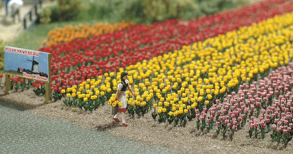 H0     120 Tulpen H0                                  09.99]