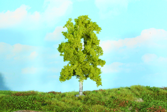 Heki 19105  1 Birke 18 cm                           14,8