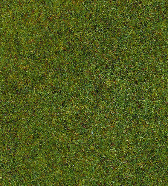 Heki 30912  Grasmatte dunkelgrün, 100x200 cm        29,9