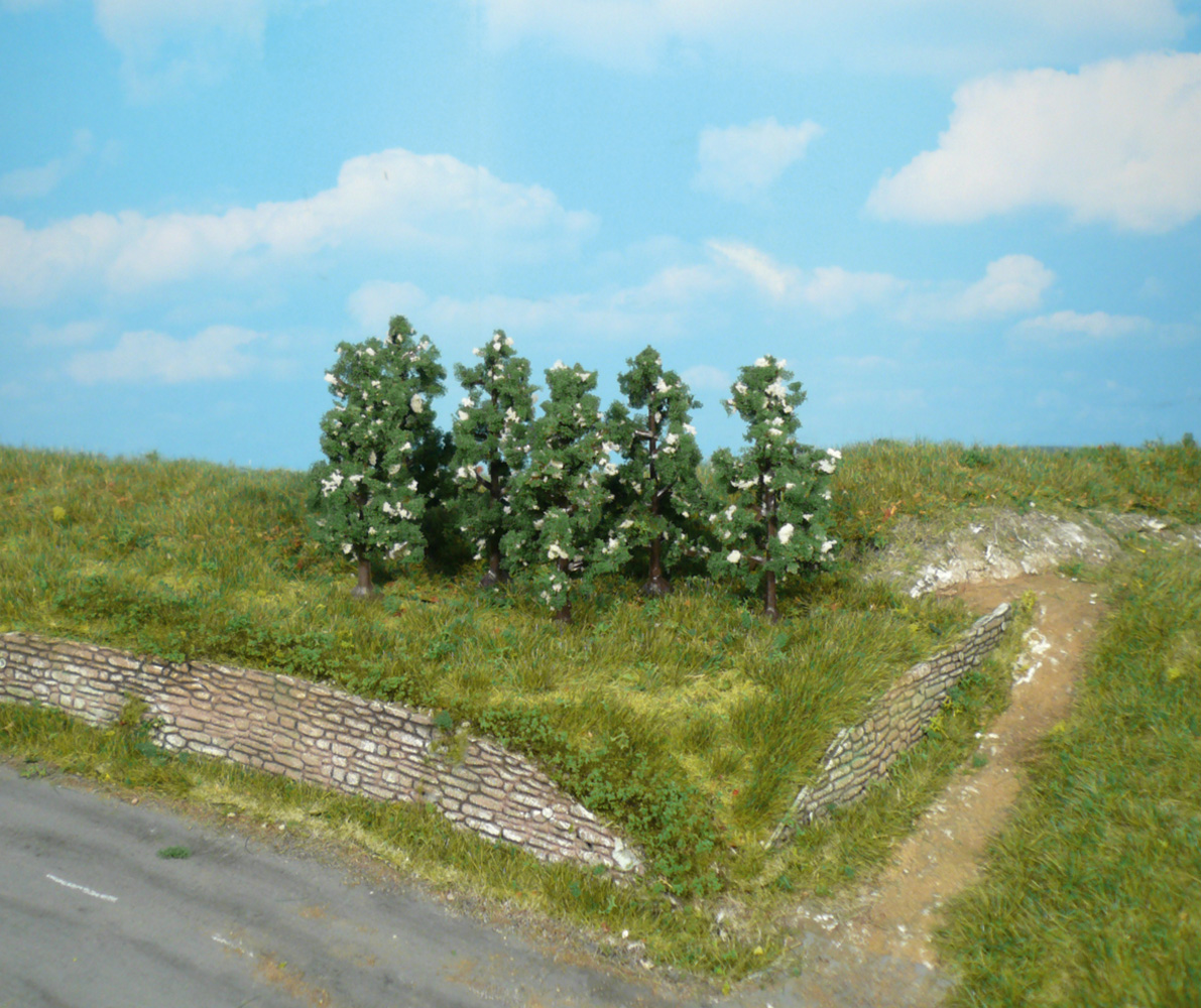 Heki 1172  6 Birnbäume blühend 6 cm                 11,3