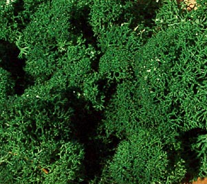Heki 3220  Islandmoos dunkelgrün 75 g               9