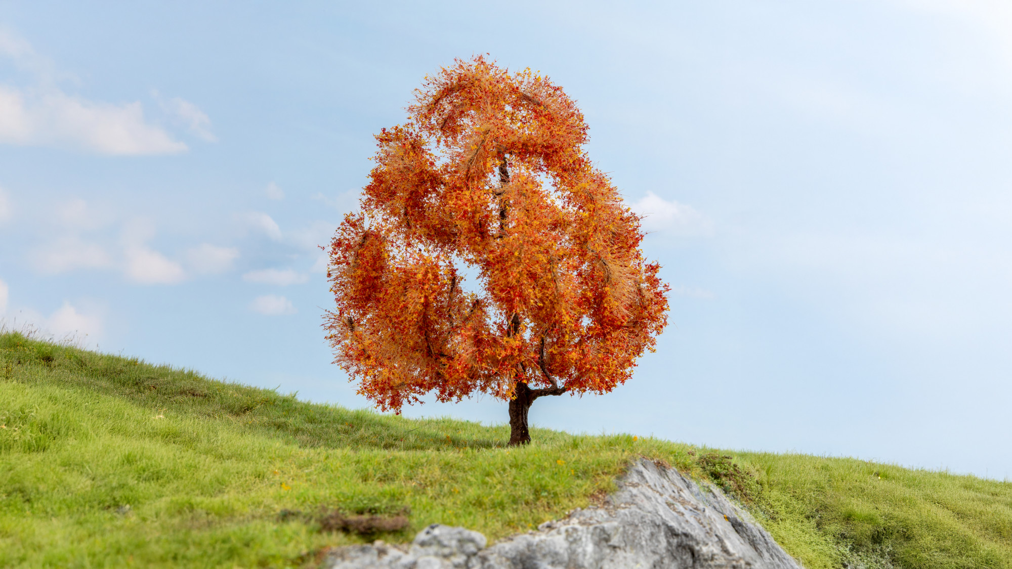 NOCH 20155  Ahorn, herbstlich 15 cm                 21,99