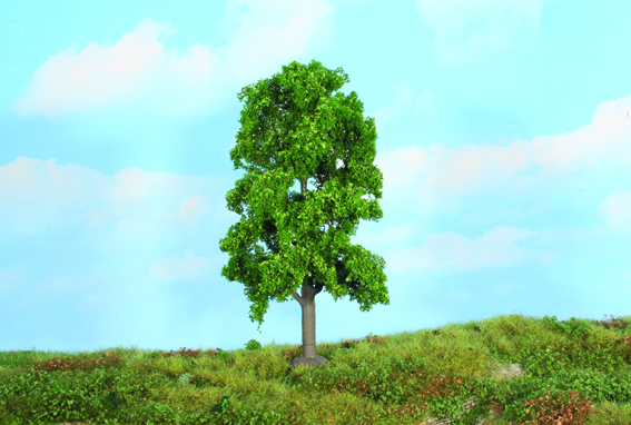 Heki 19104  1 Linde 18 cm                           14,8