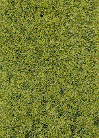 Heki 3368  Grasfaser Wildgras Waldboden, 75 g, 5-6 m11,3