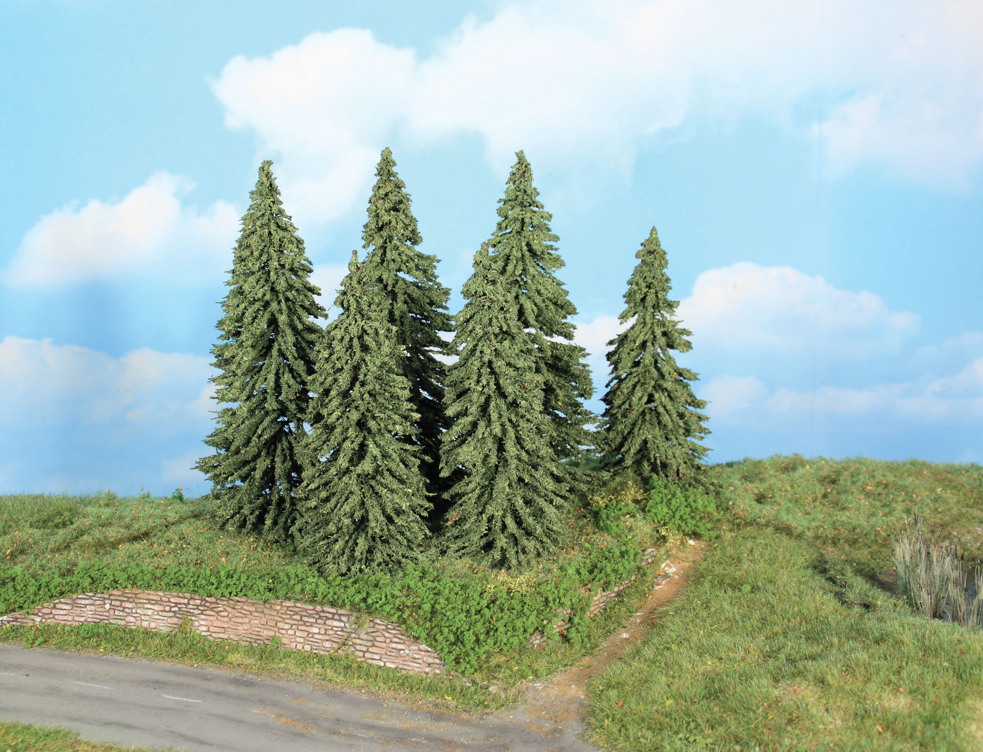 Heki 21801  6 Wetterfichten  14-18 cm               30,8