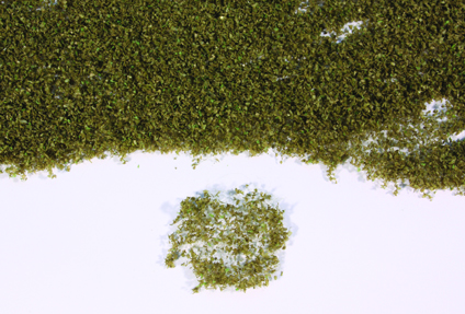 Heki 15104  HEKI realistic flor braun, 28x14 cm     12,4