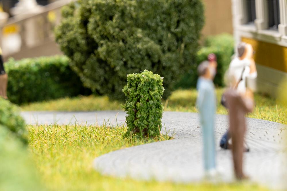 Faller 181592 10 Vorgartenbäume, Thuja, säulenförmig He26