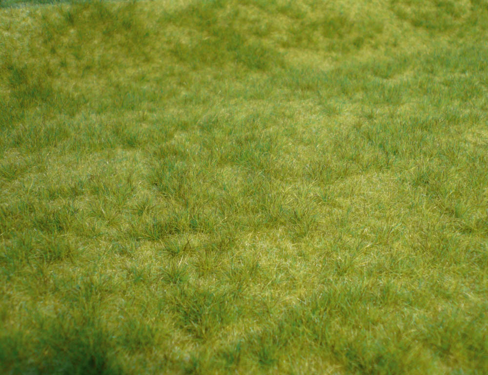 Heki 1841  realistic Wildgras Frühlingsgras, 45x17 c15,2