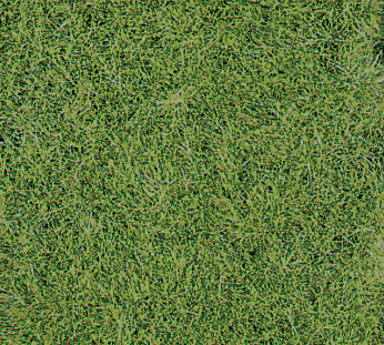 Heki 1870  Wildgrasmatte wiesengrün, 40x24 cm, 2 Stü16