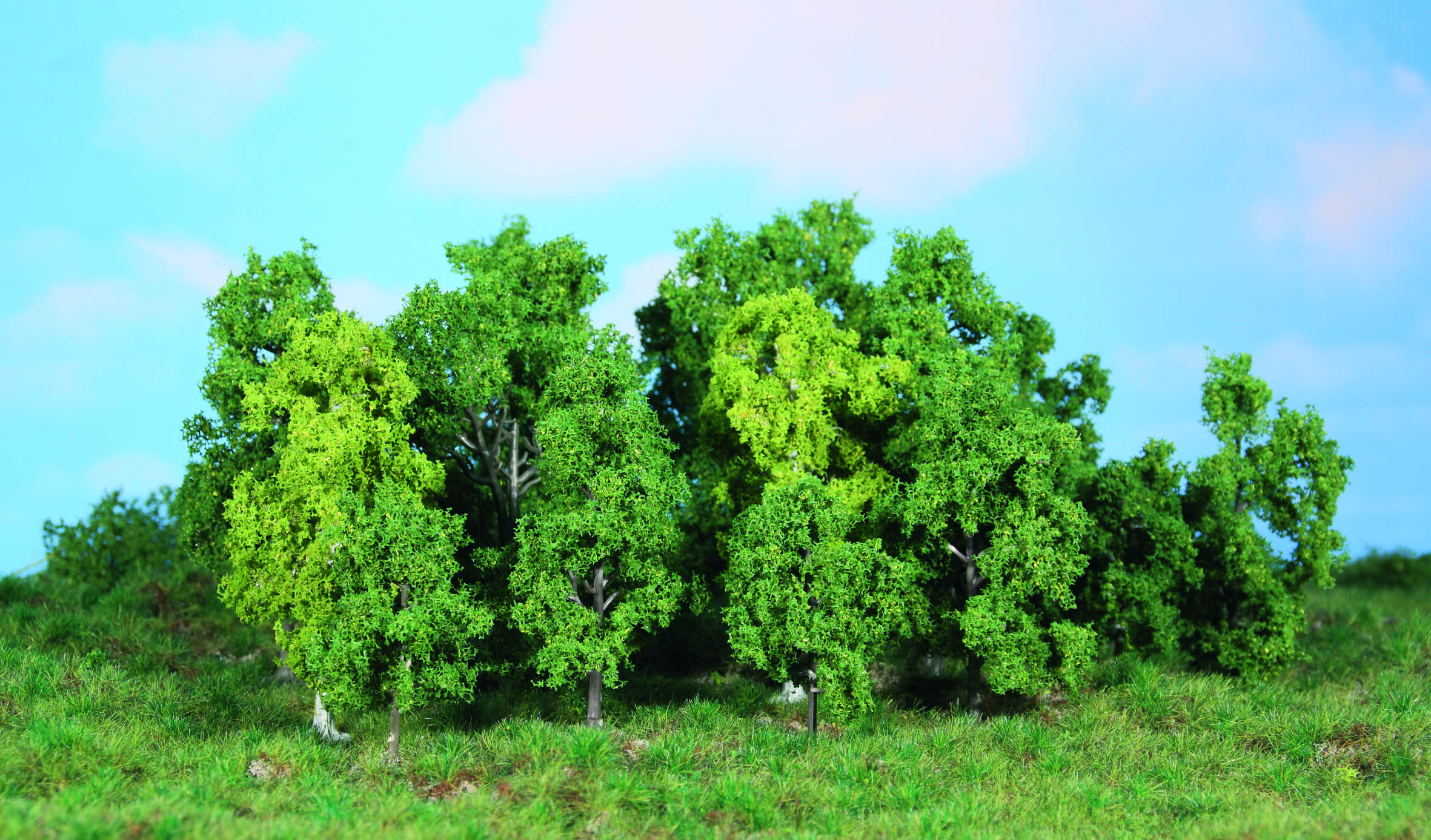 Heki 1992  14 Laubbäume 5-12 cm                     42,1