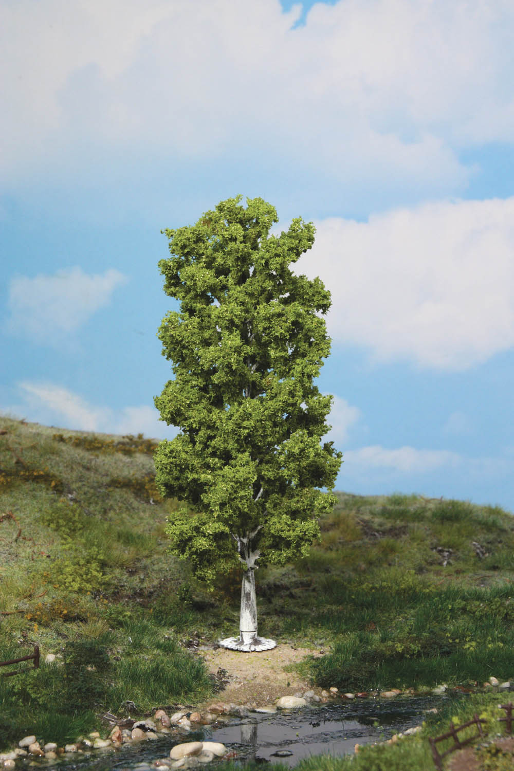 Heki 1984  1 Birke 20 cm                            16,5