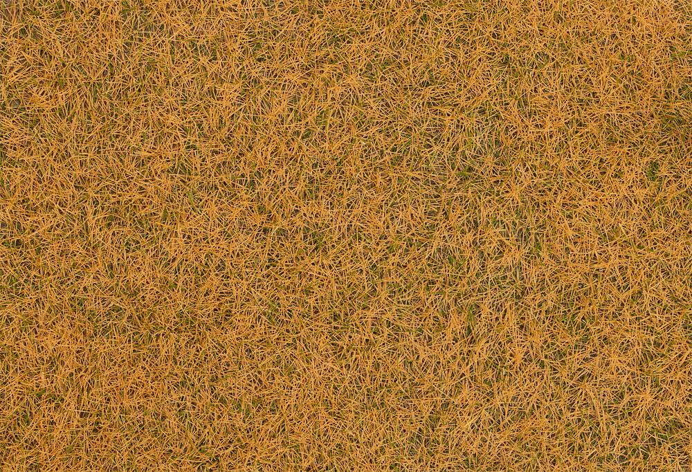 Faller 170224 Grasfasern, beige, 4 mm, 80 g He26          11