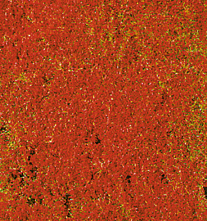 Heki 1588  decovlies Blumendecor rot 28x14 cm       16,3