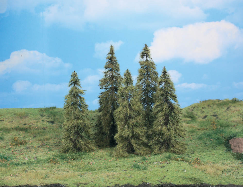 Heki 2176  5 Lärchen 14-18 cm                       28,4