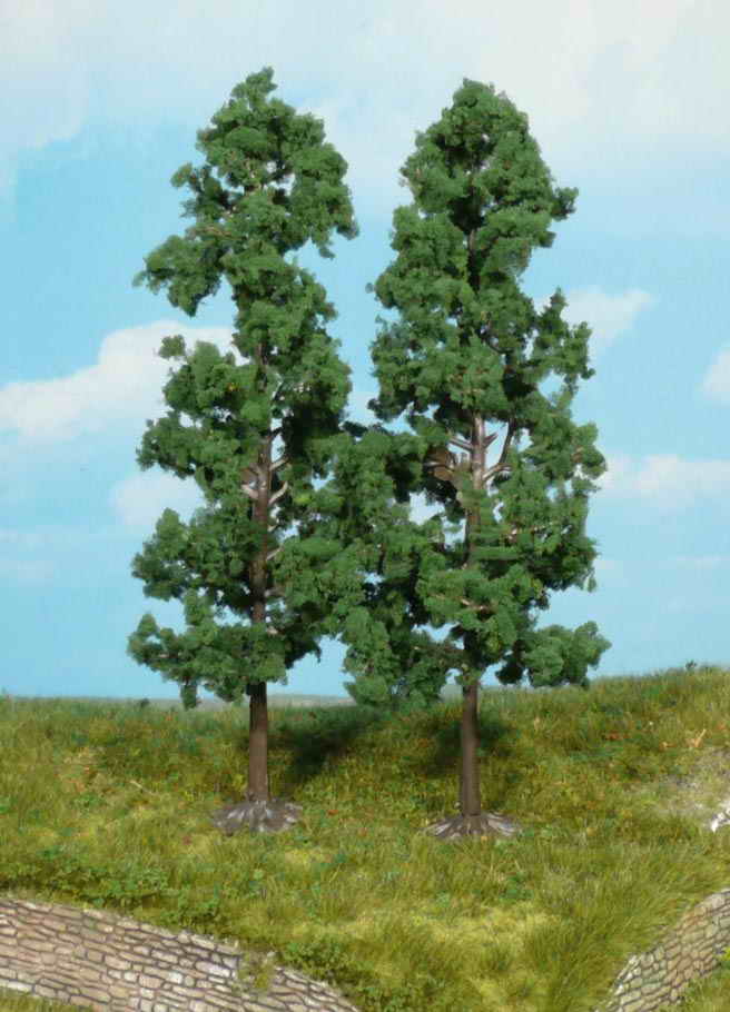 2 B2 Buchen 18 cm                              [UVP 9,8    ]