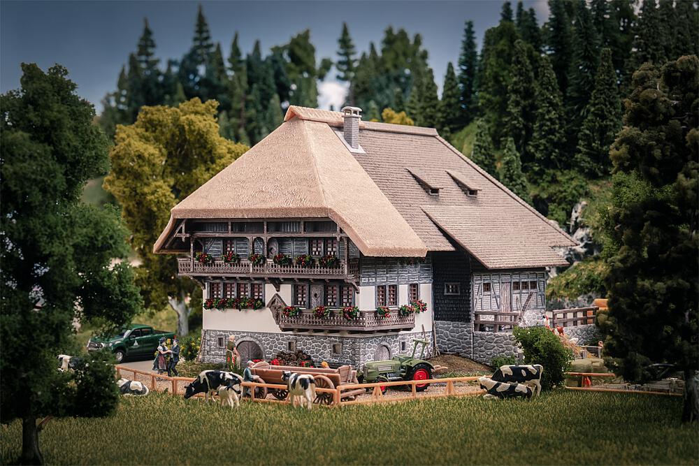 Faller 130013 Spur H0 Jubiläumsmodell Schwarzwaldhof 79,99
