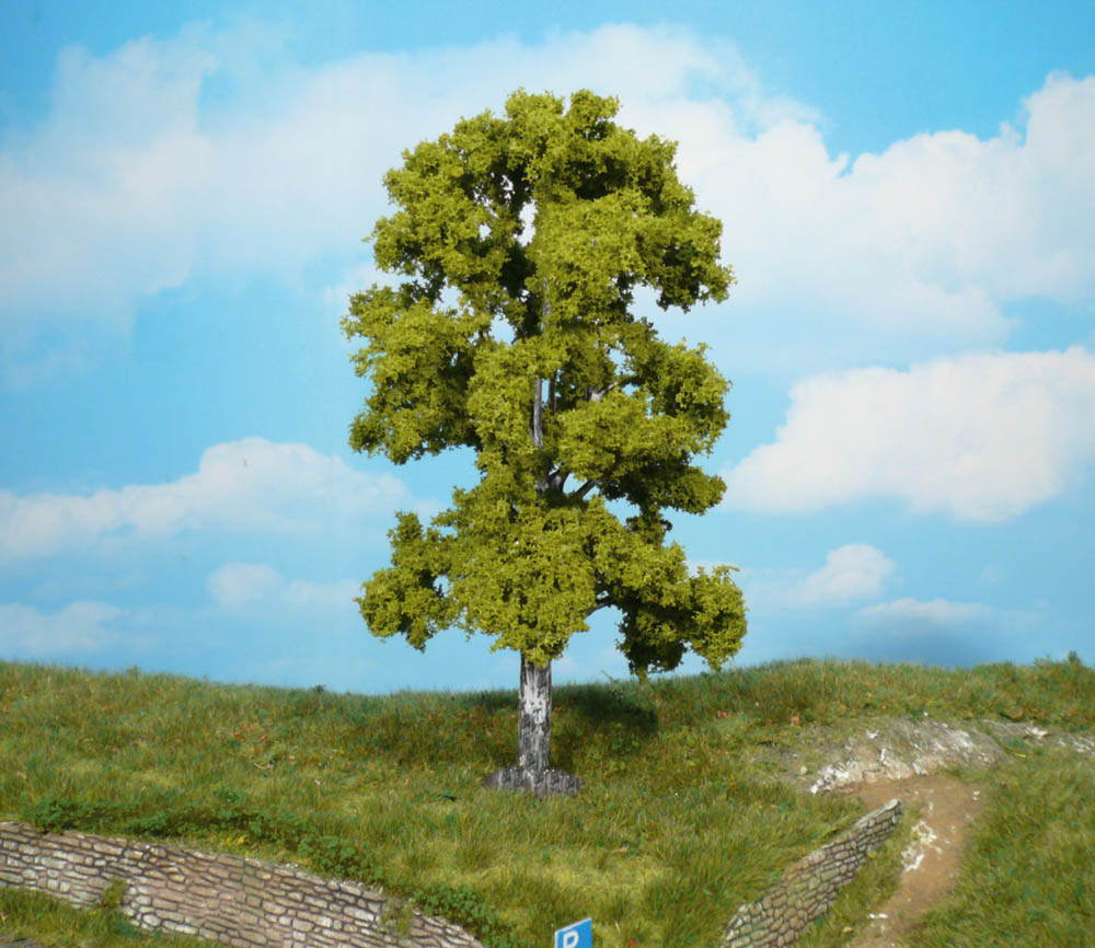 Heki 1923  1 Birke 18 cm                            14,7