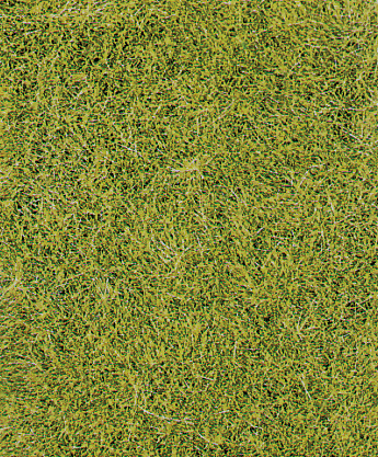 Heki 1575  HEKI decovlies Wildgras, wiesengrün 28x1412,6