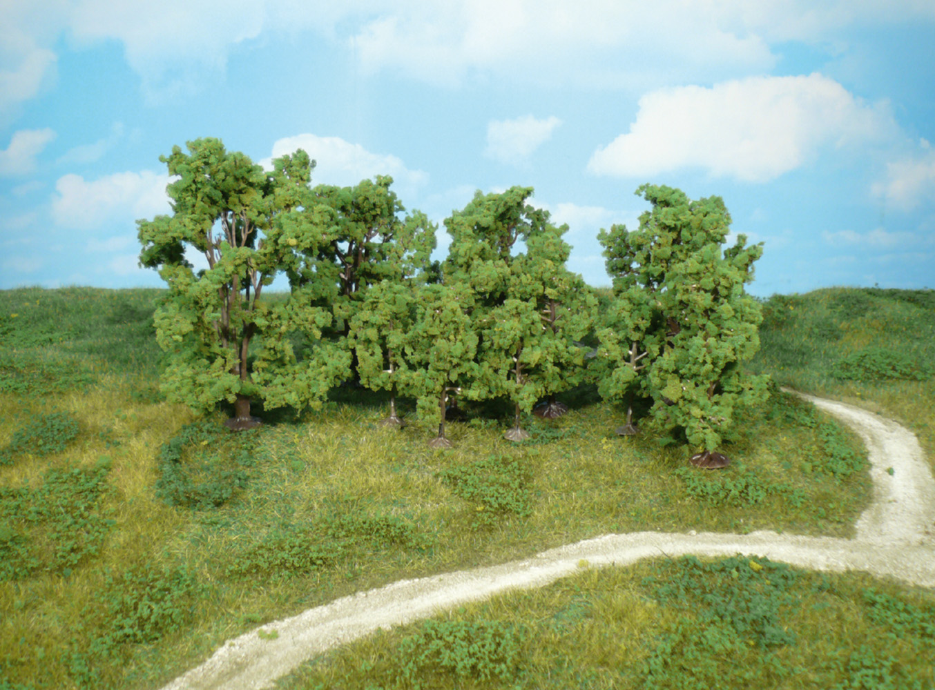 Heki 1415  12 Laubbäume 6-13 cm                     27,6