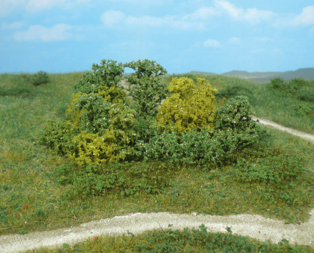 Heki 1646  20 Naturbüsche                           22,6