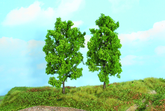 Heki 19103  2  Buchen 18 cm                         17,8